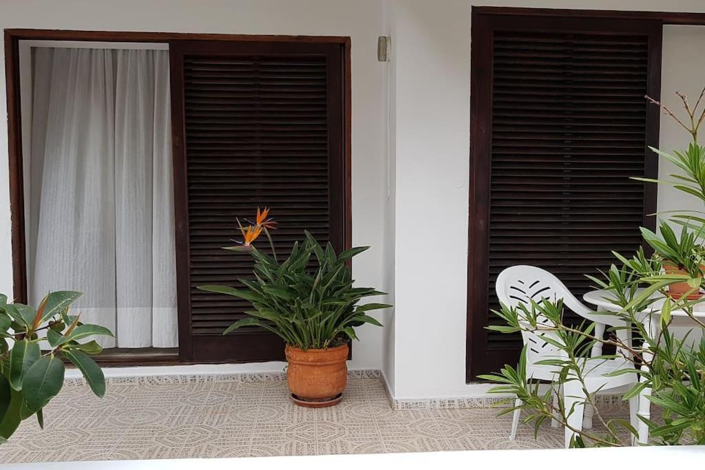 Apartamento Luminoso Con Patio Y Jardin Puerto de la Cruz  Luaran gambar