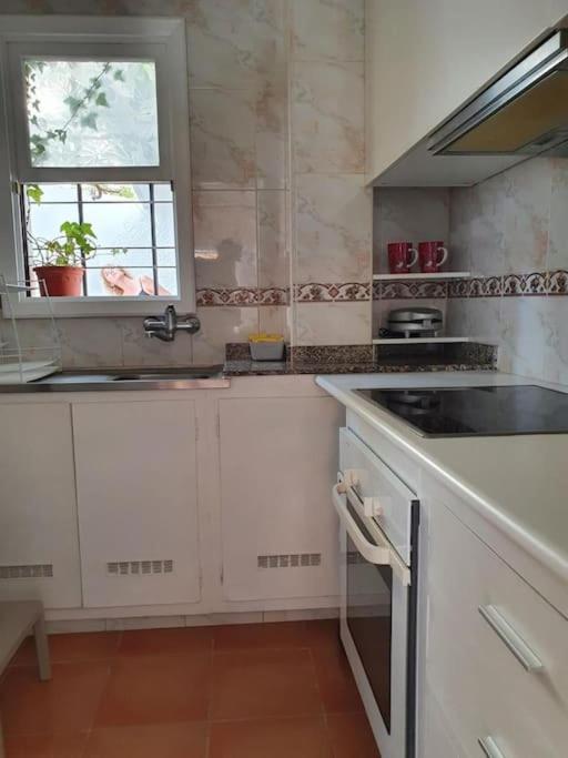 Apartamento Luminoso Con Patio Y Jardin Puerto de la Cruz  Luaran gambar
