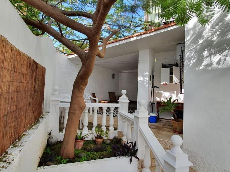 Apartamento Luminoso Con Patio Y Jardin Puerto de la Cruz  Luaran gambar
