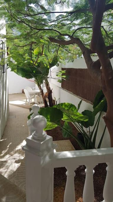 Apartamento Luminoso Con Patio Y Jardin Puerto de la Cruz  Luaran gambar