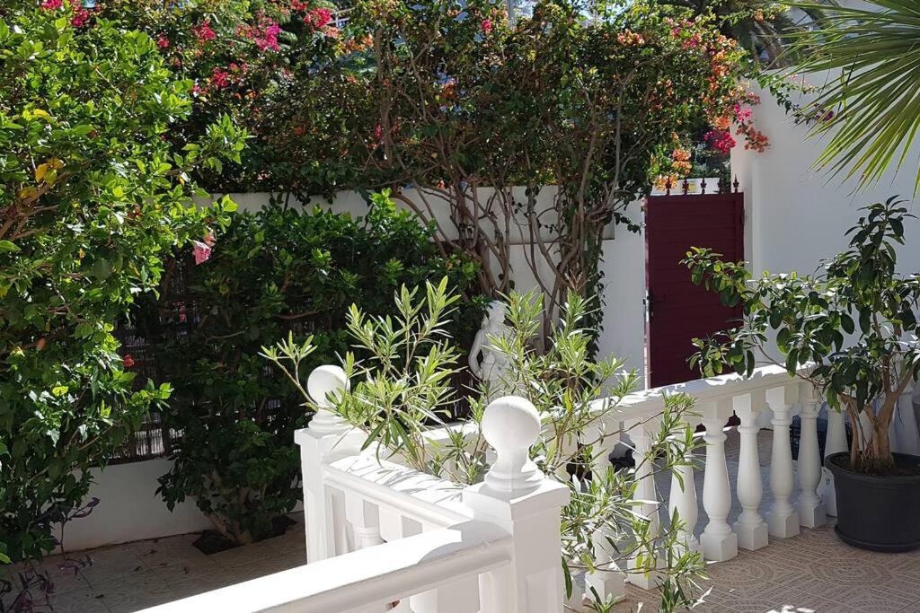 Apartamento Luminoso Con Patio Y Jardin Puerto de la Cruz  Luaran gambar