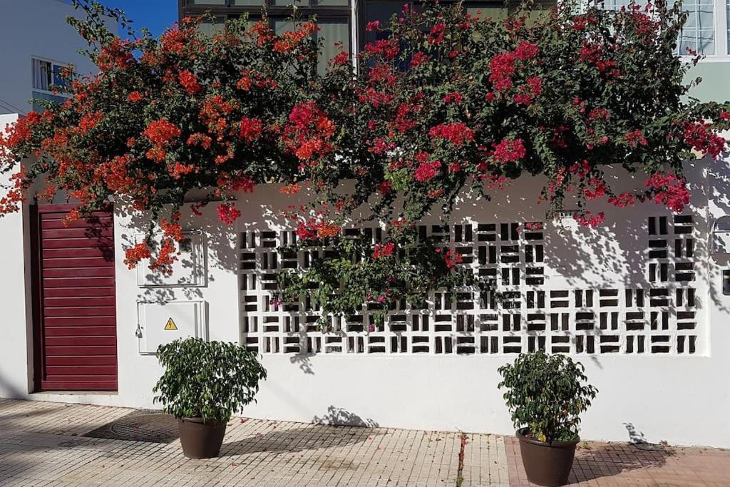 Apartamento Luminoso Con Patio Y Jardin Puerto de la Cruz  Luaran gambar